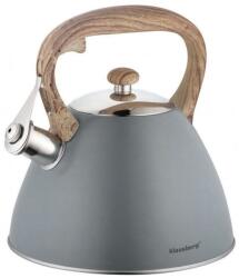 Klausberg KB-7297 Teáskanna, 3 L, ezüst színű (4936908)