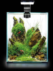 AQUAEL Shrimp Set Smart Day& Nnight 10 black | Nano akvárium garnélarákoknak és kisebb halaknak - 20x20x25 cm