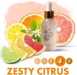 Vectair Systems SensaMist Zesty Citrus Illatolaj - Diffúzorhoz - 1L (SM-1L-ZESTY)