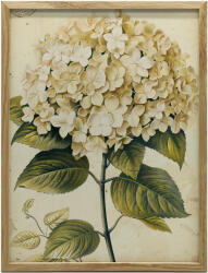  VÁSZON FESTMÉNY HORTENSE CLASSIC PREMIUM VÁSZON KERET NÉLKÜL 50x70