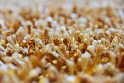 Bakero Shaggy Pali terra Szőnyeg (140x200 cm)