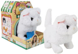 Fehér perzsa macska sétál és csóválja a farkát elemeken