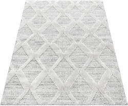 Pisa Grey - Modern Szőnyeg - 280x370 cm