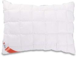 Best Sleep Silver párna 50x70 cm, 50x70 cm