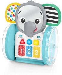 Baby Einstein Интерактивна музикална играчка Chase & Tap Earl 6m+ (16923-4)