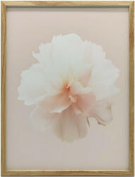  VÁSZON FESTÉS PASZTELVIRÁG RÉSZLETESEN 70x100 CM KERET NÉLKÜL