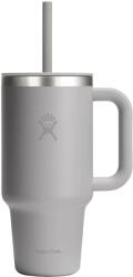 Hydro Flask Cană termică Hydro Flask All Around Travel Tumbler 946 ml - Birch/Clear