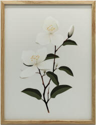  VÁSZONFESTÉS JÁSMIN ÁG KERET NÉLKÜL 70x100 CM PREMIUM