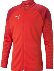 PUMA Teamcup Training Jacket (65798301)