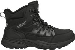 LOAP Everet (hsm23262-v11t)