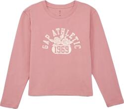 GAP Frch Value Logo (523480-02)