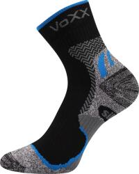 VoXX Synergy (n03082)