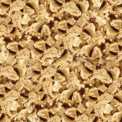 SERA Artemia FD Snack 250 ml / 19 g