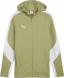 PUMA Teamevostripe Hooded Jacket (65994740)