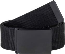 Willard BELT 100