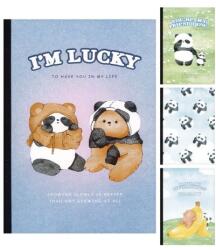 M&G Panda és Medve A5-ös vonalas jegyzetfüzet (4 minta)