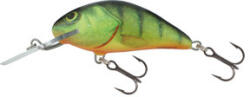 Salmo Wobbler Hornet H5f Hp (e-84415118)