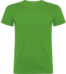 ROLY Férfi Beagle rövid ujjú póló 3XL zöld