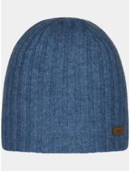 BARTS Haakon Beanie férfi sapka kék