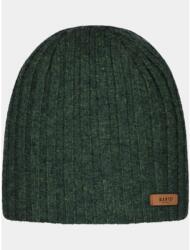 BARTS Haakon Beanie férfi sapka zöld