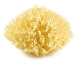 Thermobaby 1462 tengeri szivacs