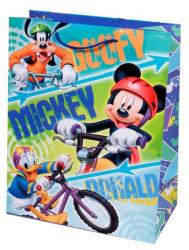 Cardex díszzacskó STYLE084 style normál általános