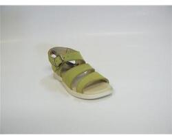  43-81326 sz 28 zöld