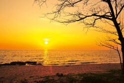 DIMEX ART Флизелинов фототапет залез 375 x 250 см