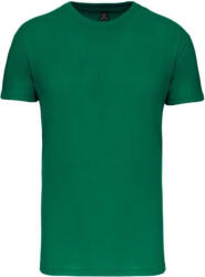 Kariban KA3027IC KIDS' BIO150IC CREW NECK T-SHIRT (ka3027ickl-4/6)