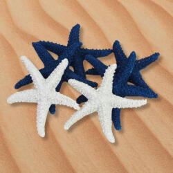 Tengeri csillag csomag 6db/csomag
