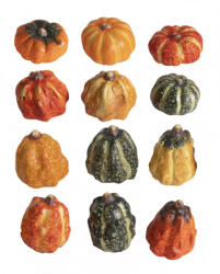 +Kerámia dísztök, vegyesen, 1 db 4*5cm 141119 (141119)