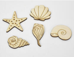  Natúr fa - Kagyló-csiga csomag 4-6cm 5db/csomag - papelito