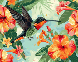 Alkotásutca Kolibri a virágok között - Számfestő készlet kereten 40x50