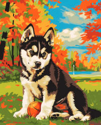 Alkotásutca Kölyök husky - Számfestő készlet kereten 40x50