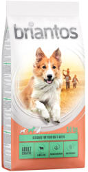 Briantos 14kg Briantos Junior Young & Fit csirke & rizs száraz kutyatáp+zooplus szülinapi csont kutyajáték ingyen