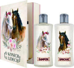 Bohemia Gifts Könyv lovakról és emberekről 500 ml