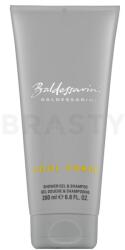 Baldessarini Baldessarini Cool Force tusfürdő férfiaknak 200 ml