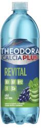 Theodora Ásványvíz szénsavas THEODORA Calcia Plus Revital szőlő-aloe vera 0, 7 L DRS C69334 (C69334)