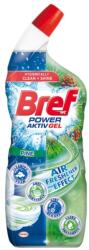 Bref Gel Curatare Toaleta Bref Hygiene, Pin, 700 ml (MAG1012564TS)