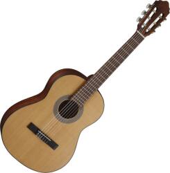 Cort AC70 Open Pore w/bag