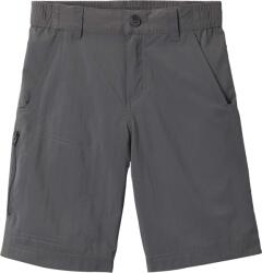 Columbia Silver Ridge Iv Short (1887381023)