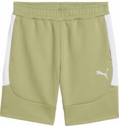PUMA Teamevostripe Shorts (65995140)