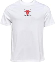 New Era Chicago Bulls Nba (60669173)