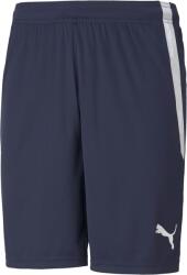 PUMA Team Liga Shorts (70492406)