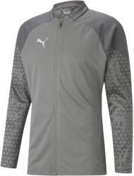 PUMA Teamcup Training Jacket (65798313)