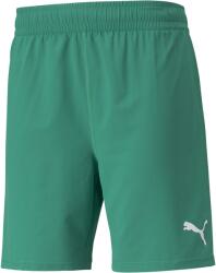 PUMA Teamfinal Shorts (70507605)