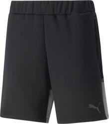 PUMA Teamcup Casuals Shorts (65798903)