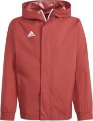 Adidas Entrada 22 All-weather (ik4013)