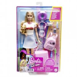 Mattel Barbie Family friends in calatorie HJY18 Papusa Barbie