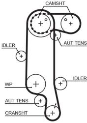 GATES Fogasszíj GATES 5565XS for SEAT, VW, SKODA, AUDI (5565XS)